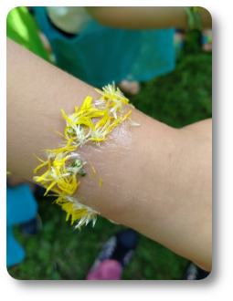 animation nature enfants